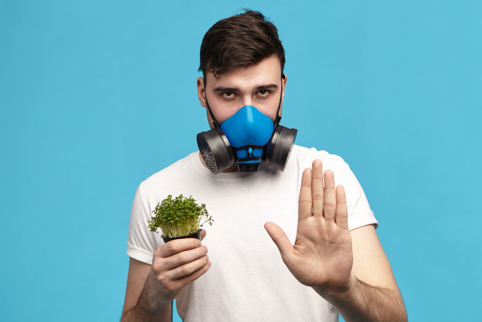 Health Risks of Mold Exposure & How It Affects You